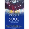 ORIGIN OF THE SOUL AND THE PURPOSE OF  REINCARNATION  